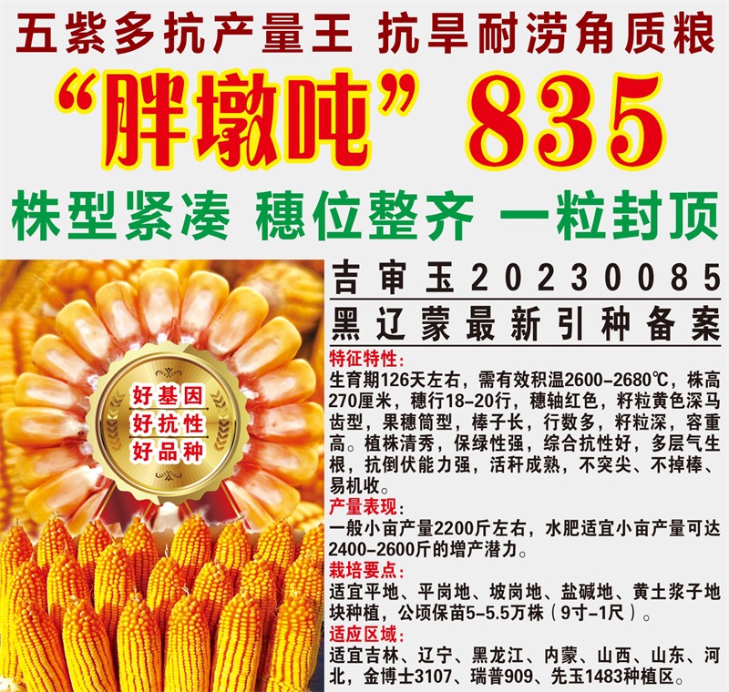 胖墩噸835