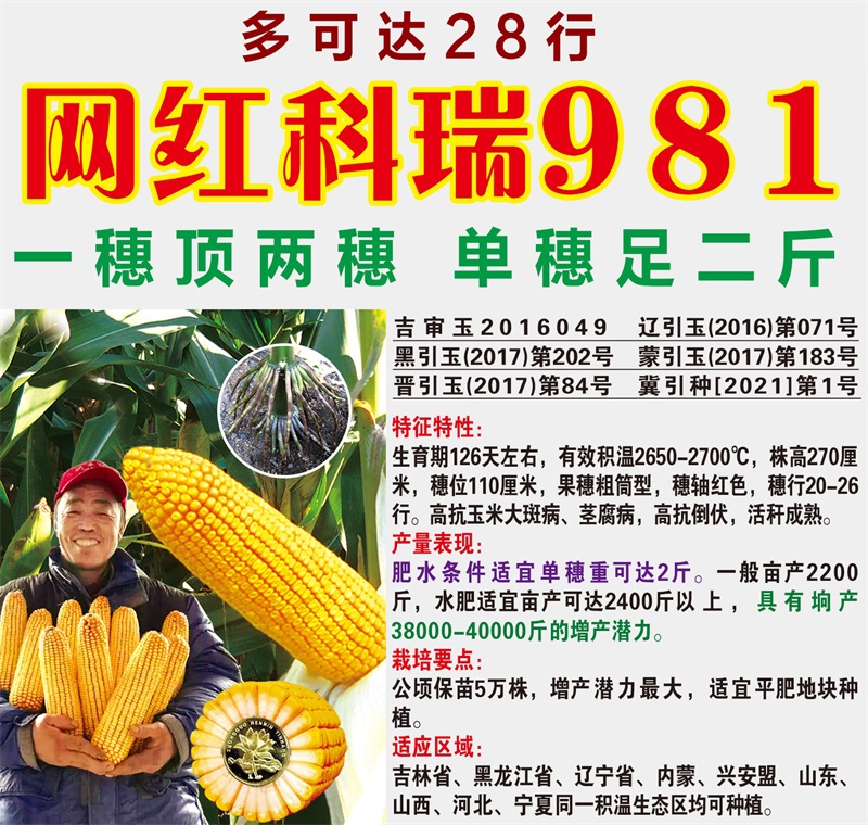 網(wǎng)紅科瑞981