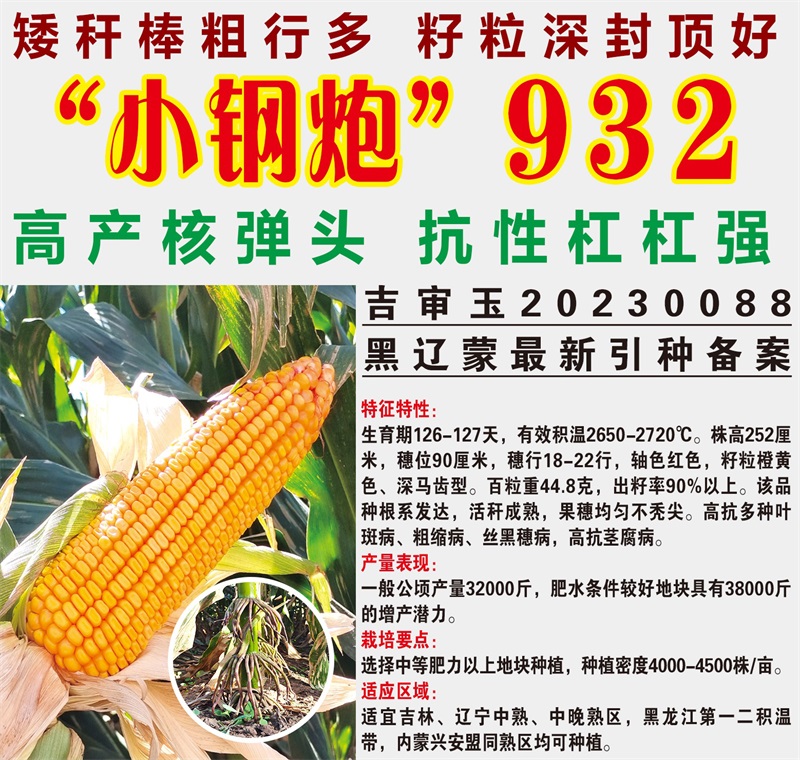 小鋼炮923